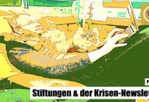 So newslettern Stiftungen in der Krise