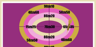 Aktienquote im Stiftungsvermögen? Vergesst es.