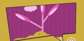 Coupon plus Impact für’s Stiftungsvermögen Green Bonds