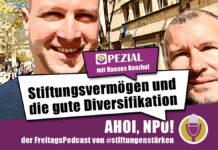 Stiftungsvermögen und die gute Diversifikation Podcast Spezial Nr.13 Hannes Banzhaf
