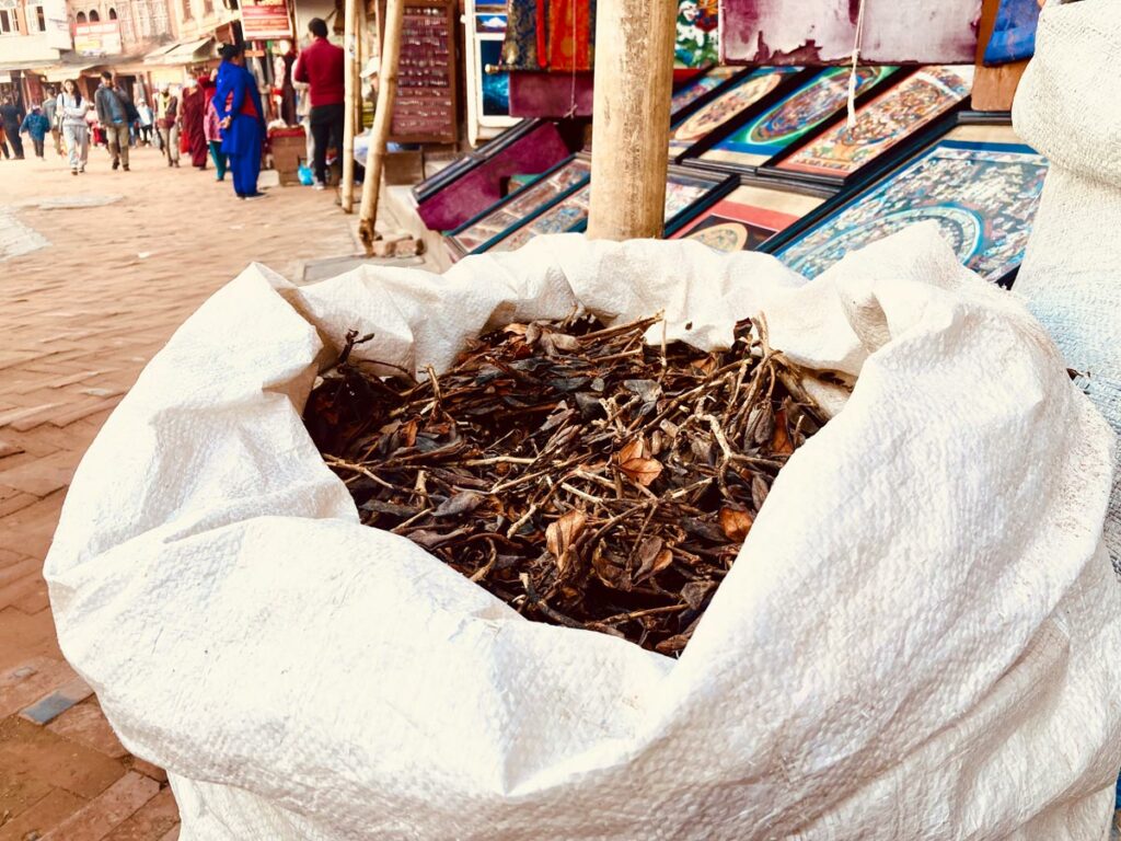 Kathmandu - Markt