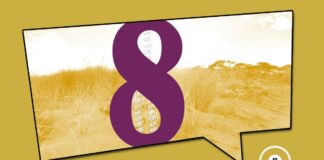 Geballte Stiftungskompetenz trifft auf Nachhaltigkeit Hamburger Stiftungsfonds goes Artikel 8