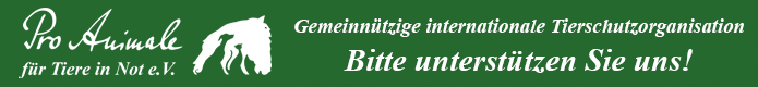 Pro Animale Tierschutzverein