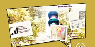 Stiftungen sind zu wenig sichtbar Stifterland Deutschland Trip Cottbus FFO